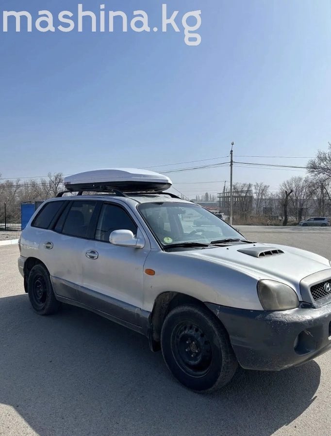 Hyundai Santa Fe I 2002