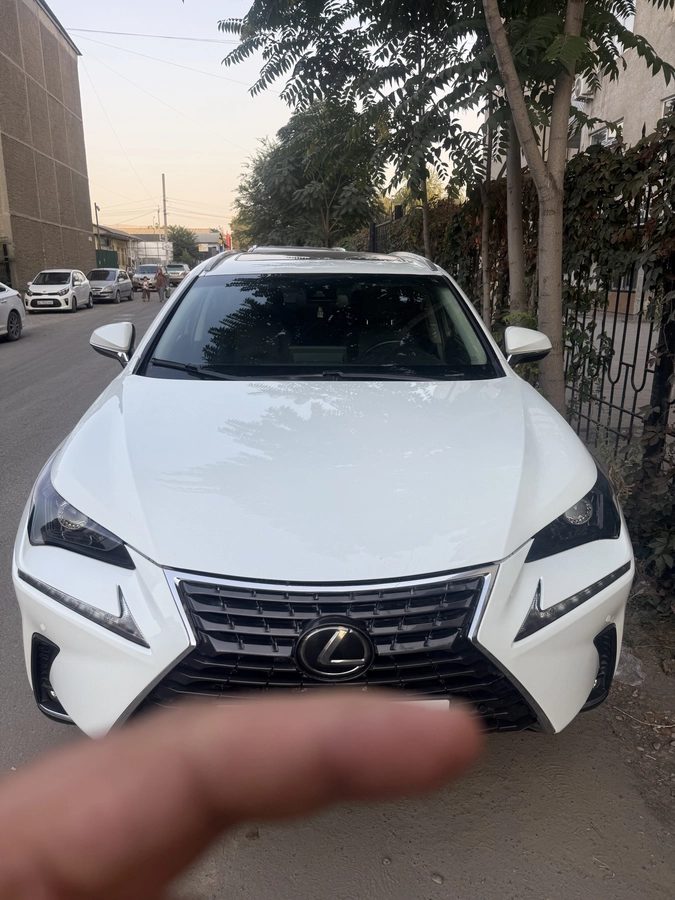 Lexus NX I Рестайлинг 2020