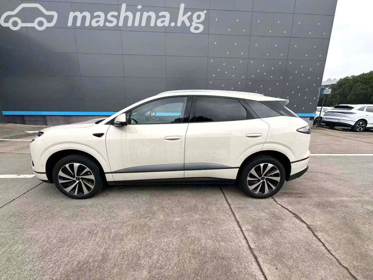 BYD Sea Lion 06