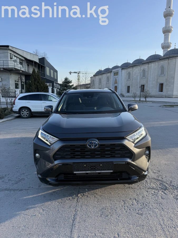 Toyota RAV4 V (XA50) 2019