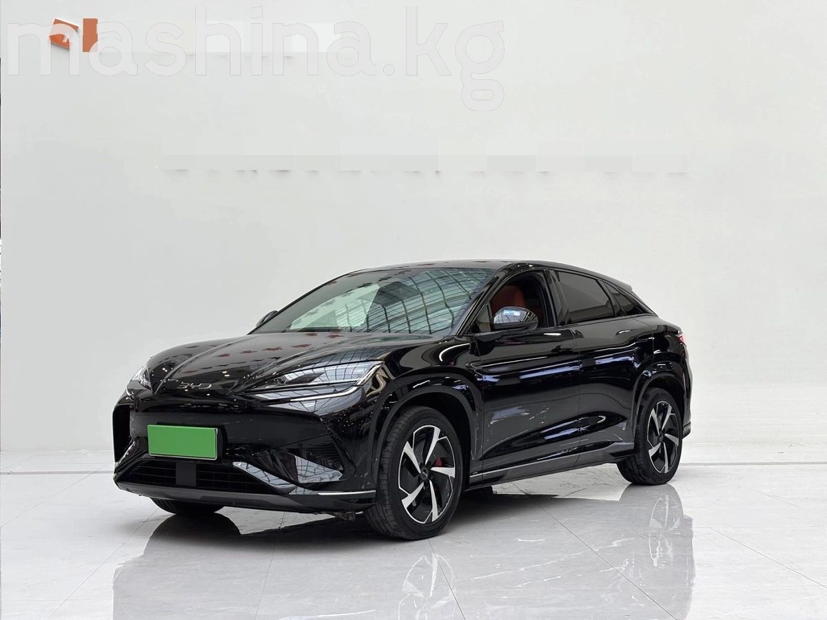 BYD Sea Lion 07 2024