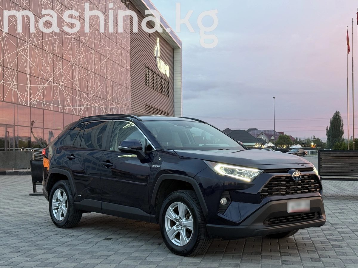 Toyota RAV4 V (XA50) 2021