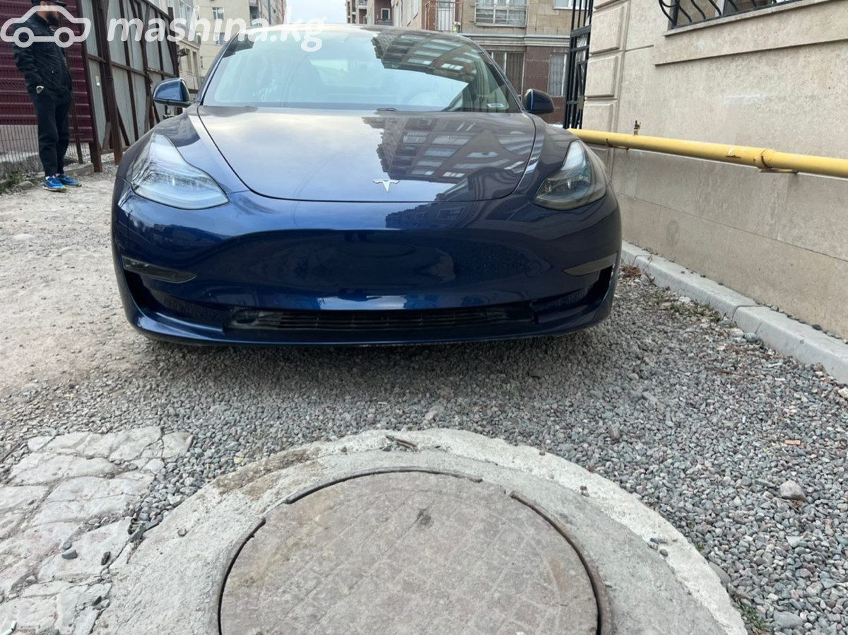 Tesla Model 3 I
