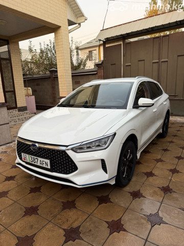 BYD E2