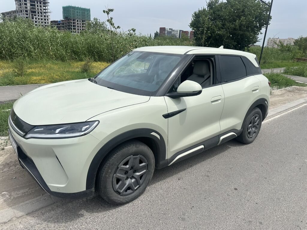BYD Yuan Up