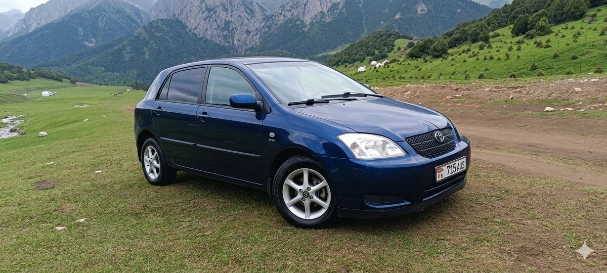 Toyota Corolla IX (E120, E130) 2003