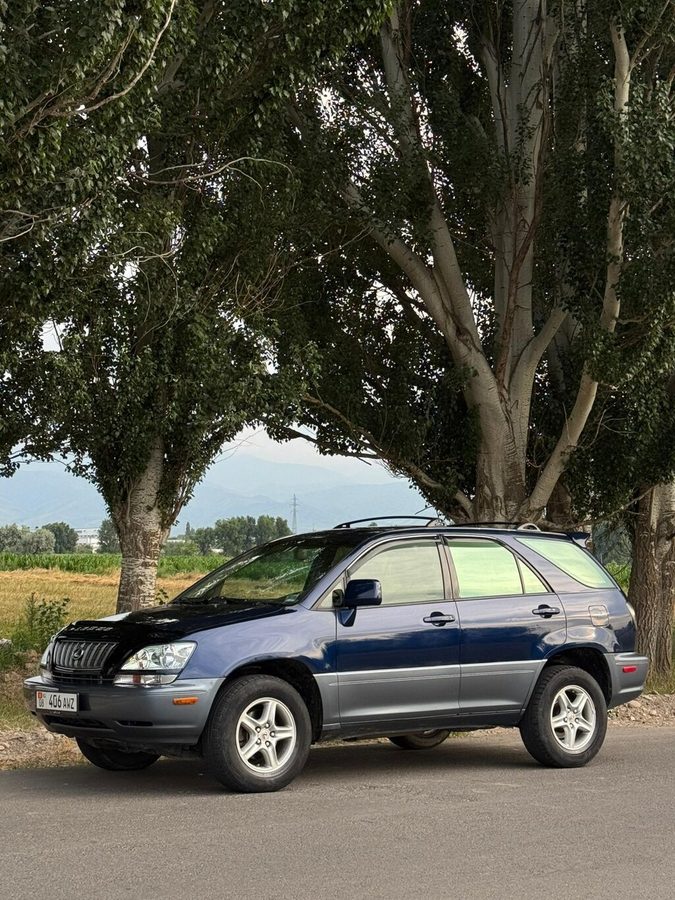 Lexus RX