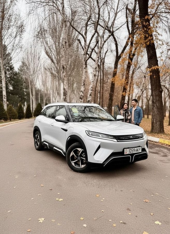 BYD 