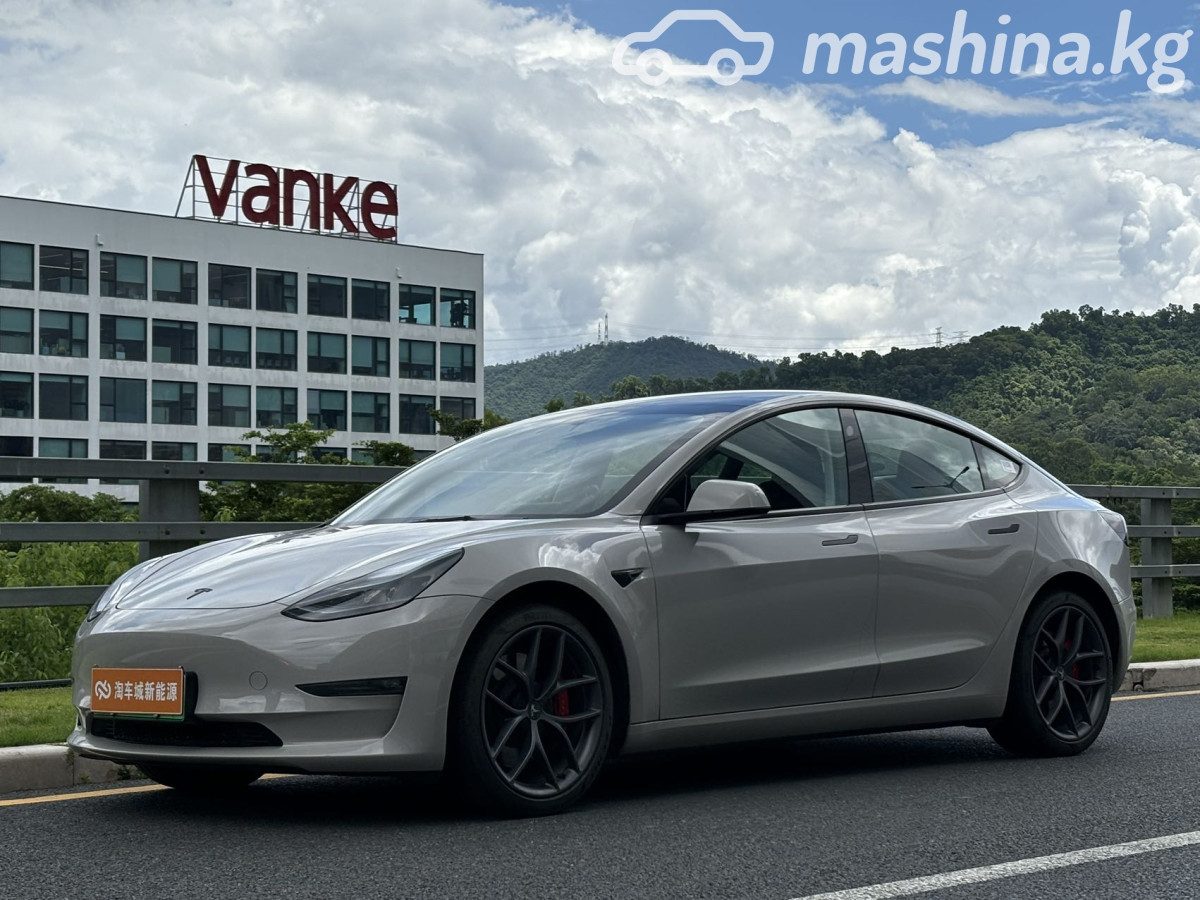 Tesla Model 3 I