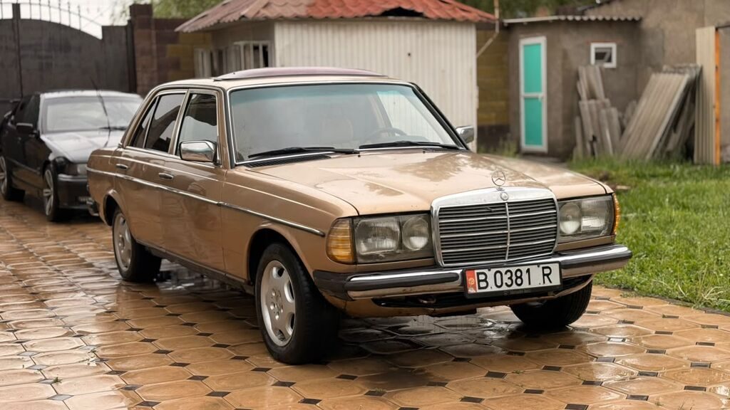 Mercedes-Benz W123