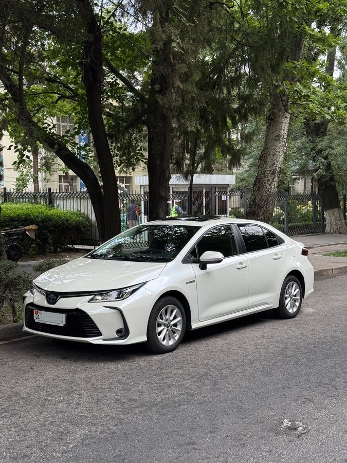 Toyota Corolla XII (E210) 2020