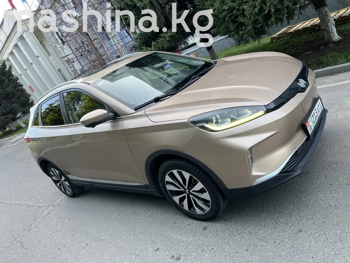 Weltmeister EX5 I 2019