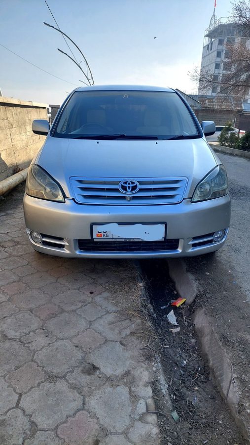Toyota Ipsum