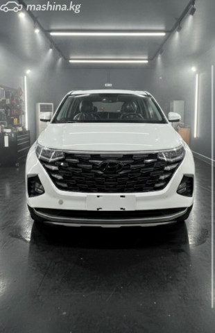 Hyundai Custo