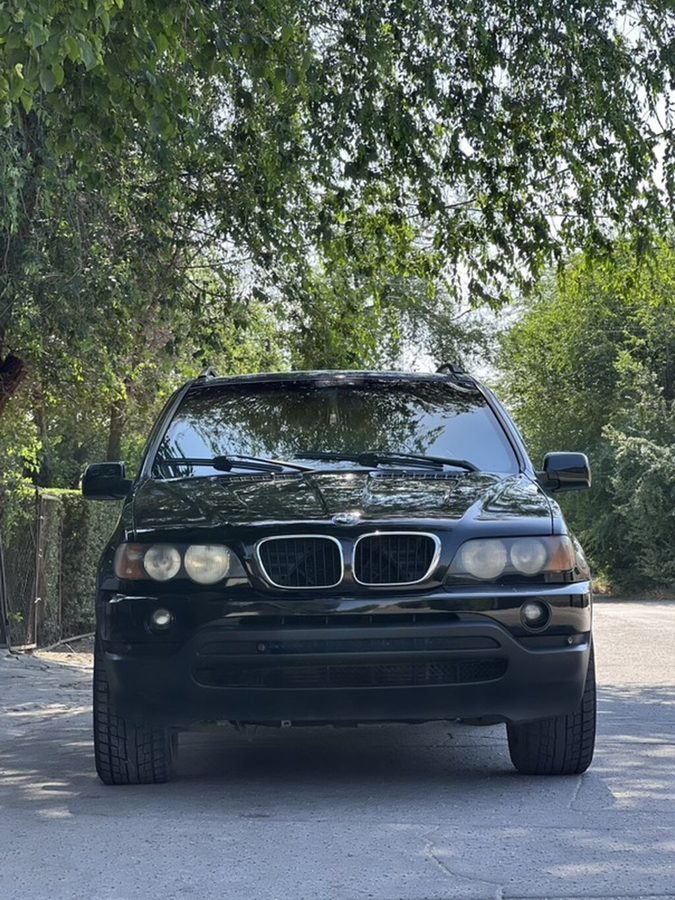 BMW X5