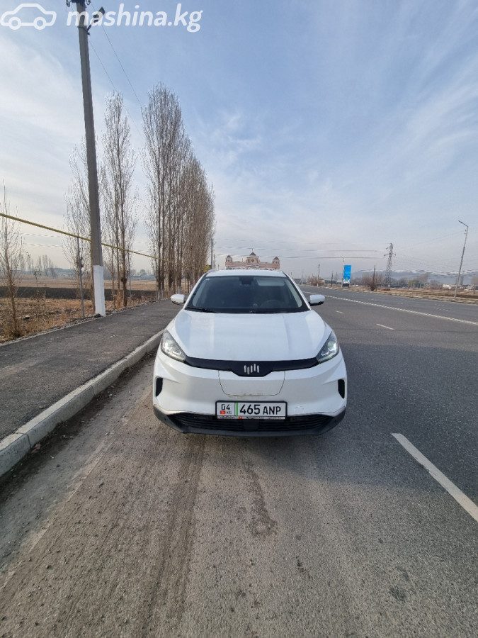 Weltmeister EX5 I