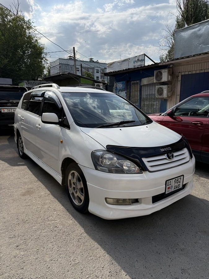 Toyota Ipsum