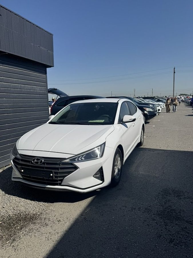 Hyundai Avante