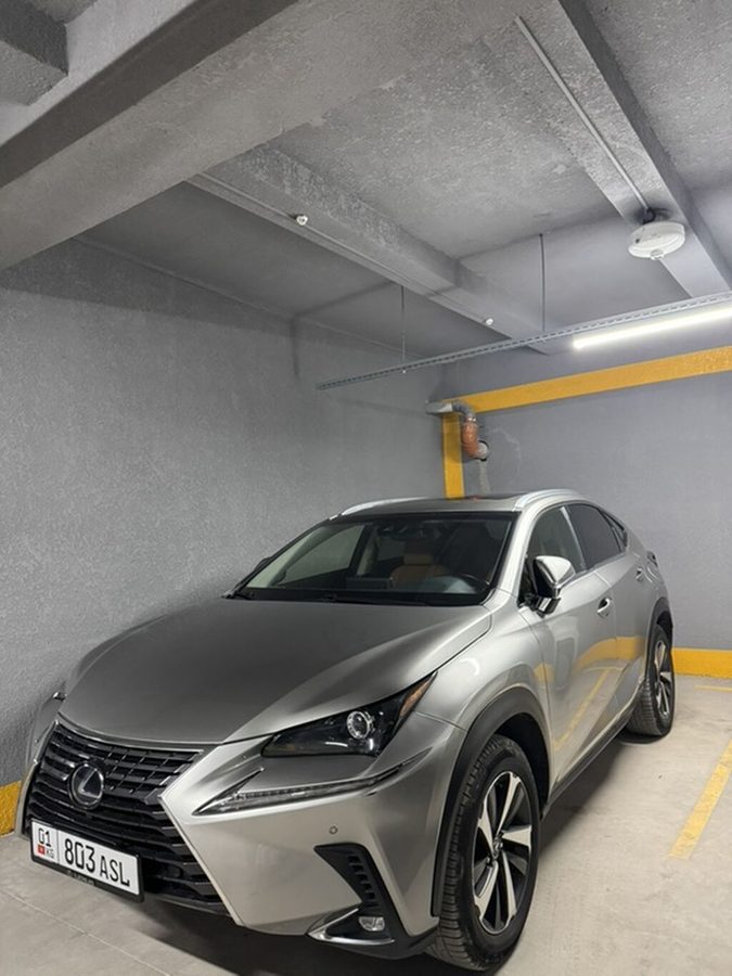 Lexus NX