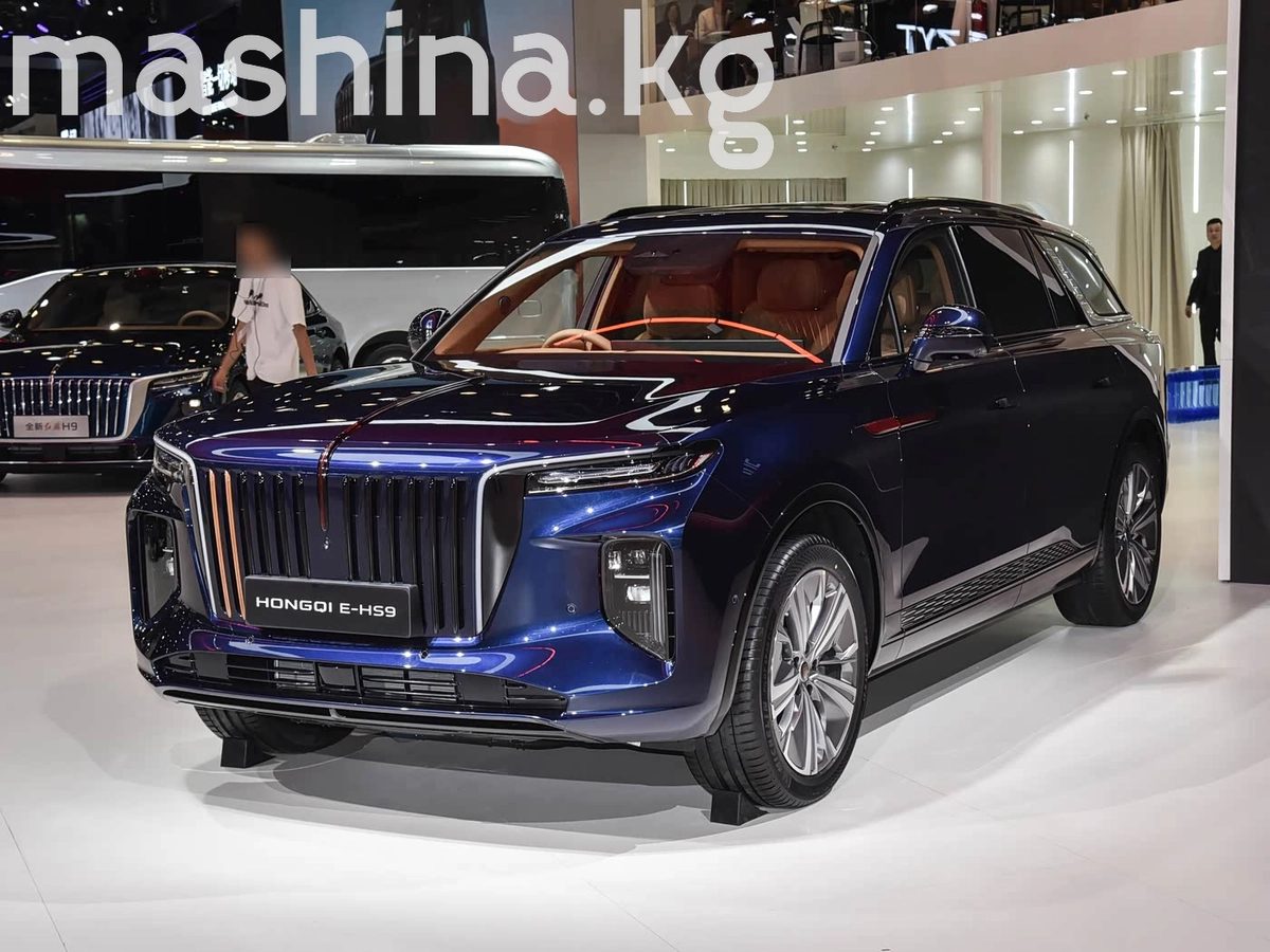 Hongqi E-HS9 2025