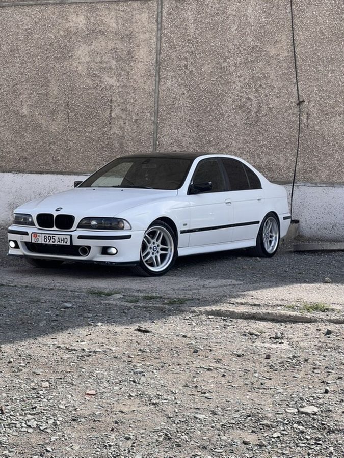 Фото 4