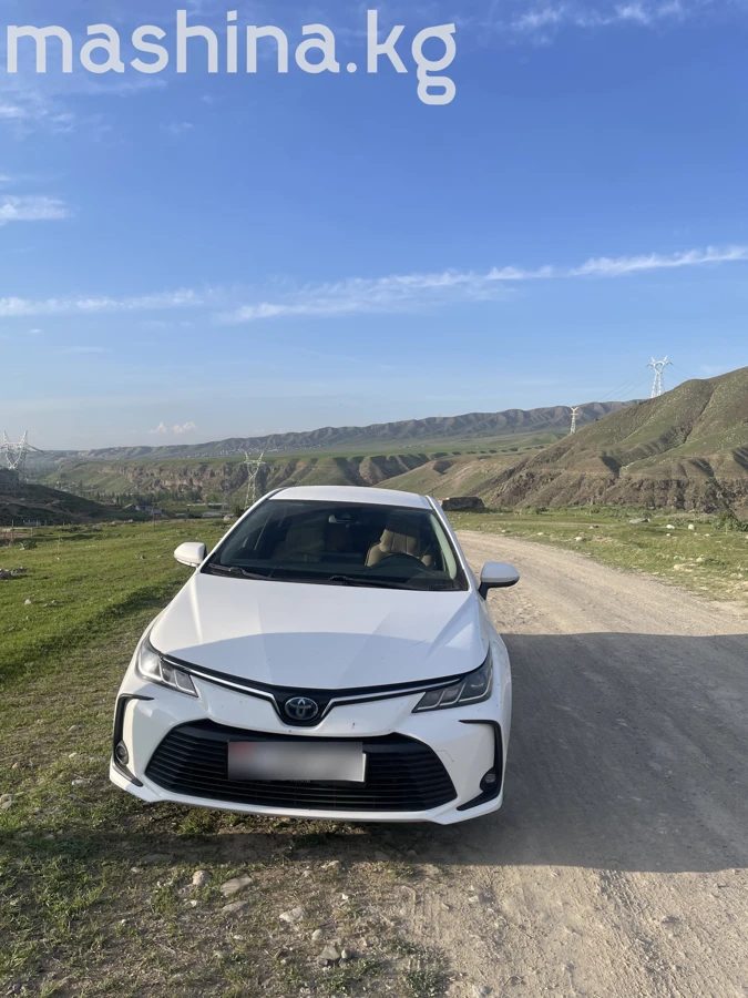 Toyota Corolla XII (E210) 2021