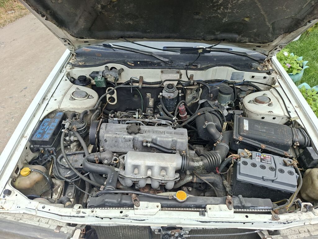 Nissan Bluebird