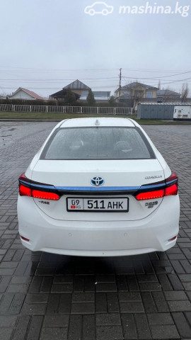 Фото 2