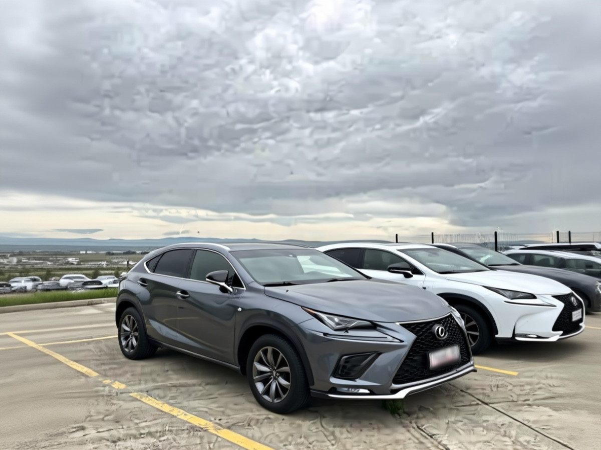 Lexus NX I Рестайлинг