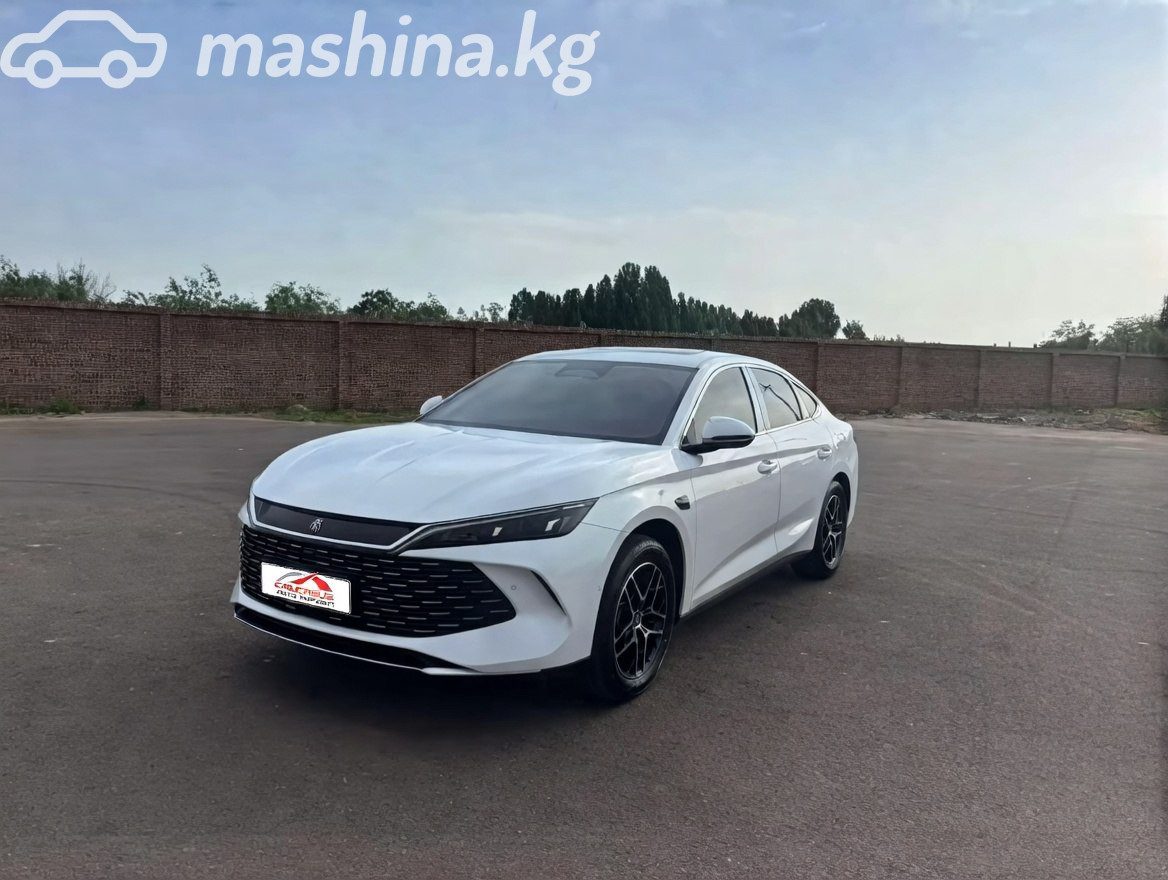 BYD Qin III