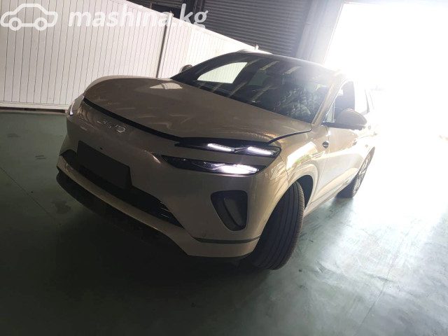 BYD Sea LIon 06