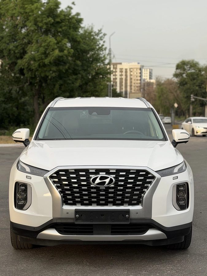 Hyundai Palisade I 2020