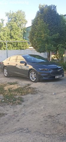 Фото 3