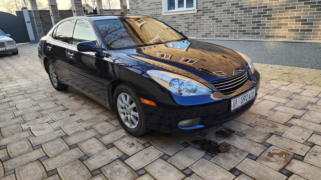 Toyota Windom