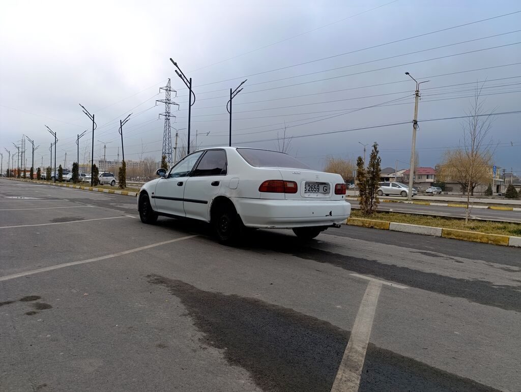 Фото 4