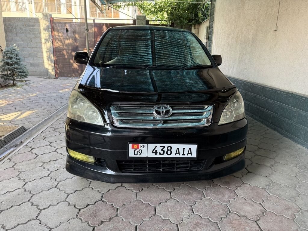 Toyota Ipsum
