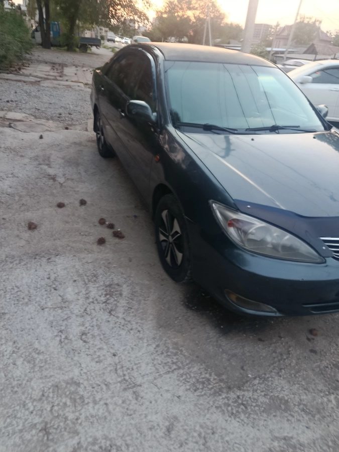 Toyota Camry V (XV30) 2002