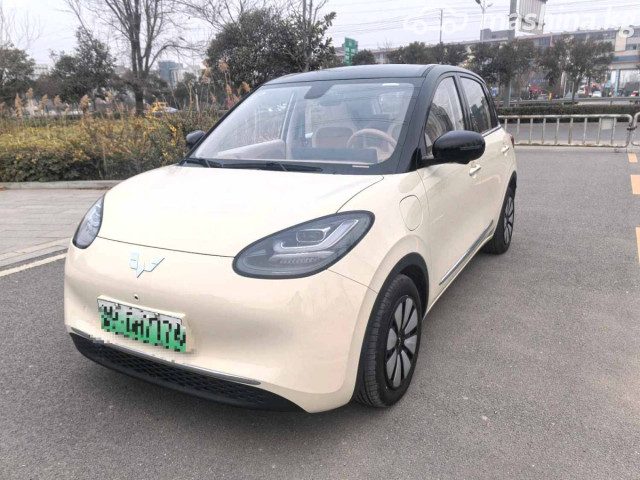 Wuling Binguo