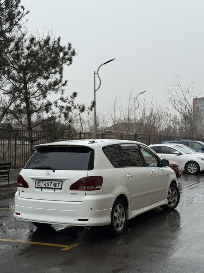 Toyota Ipsum
