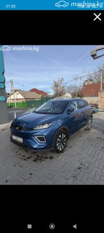 Weltmeister EX5