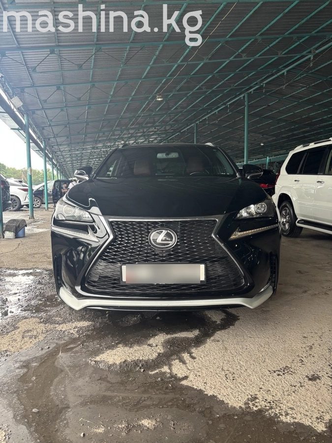 Lexus NX I 2017