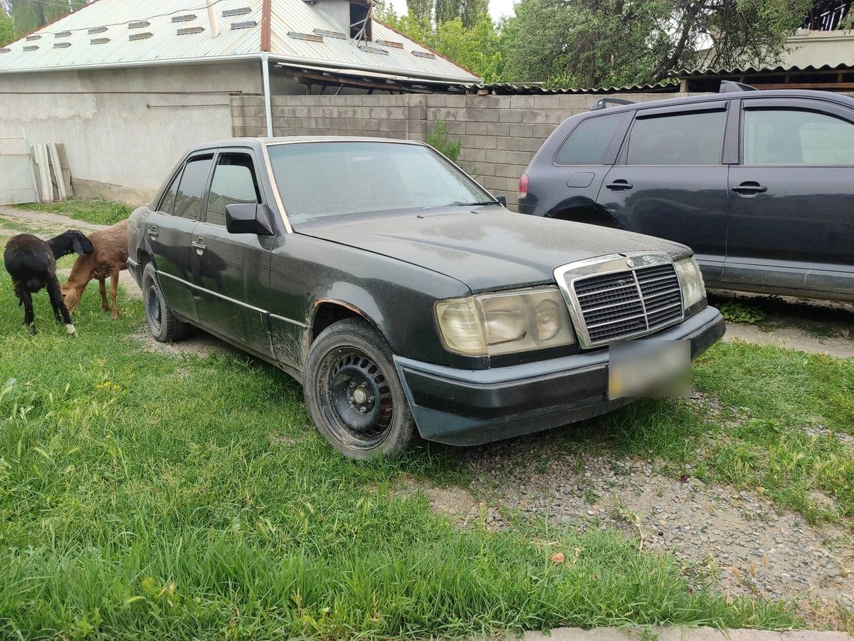 Mercedes-Benz W124 1991