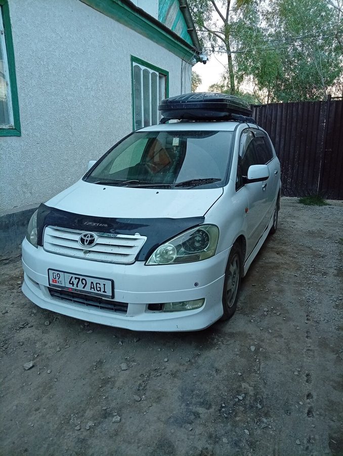 Toyota Ipsum
