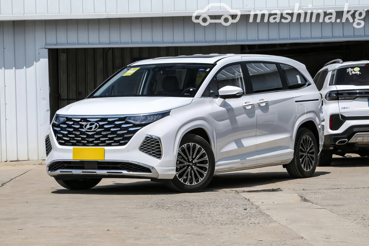 Hyundai Custo