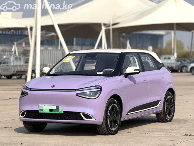 Dongfeng Nammi 01