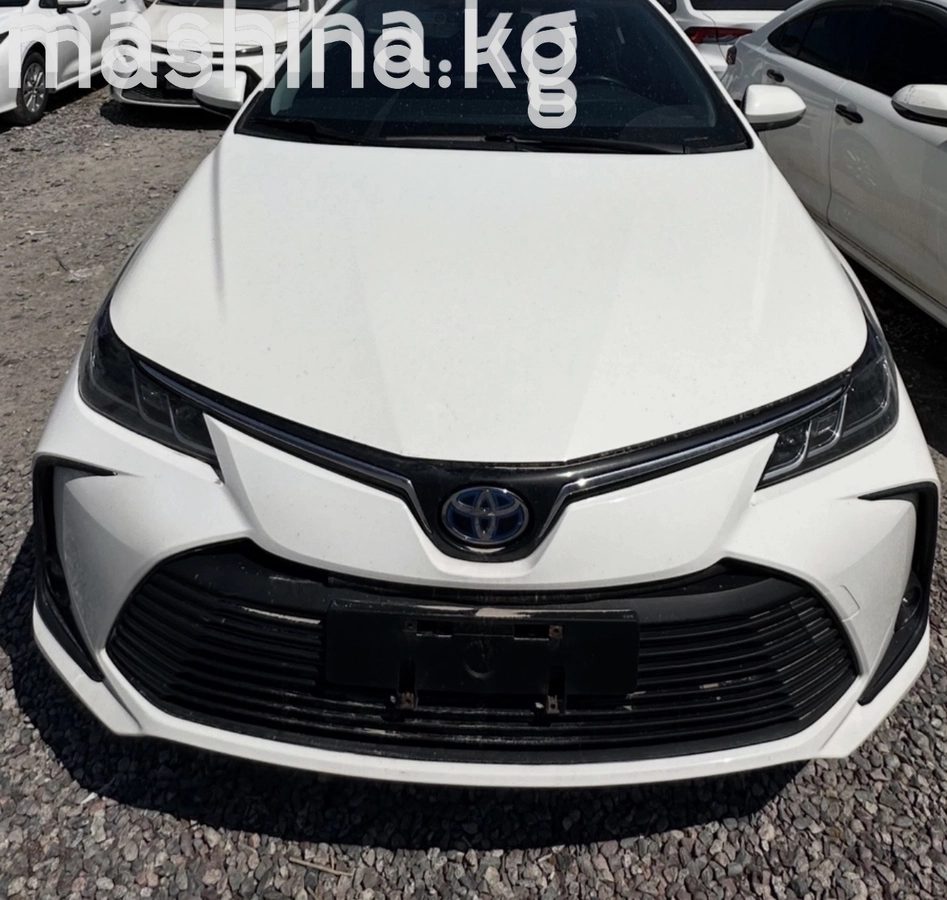 Toyota Corolla XII (E210) 2022