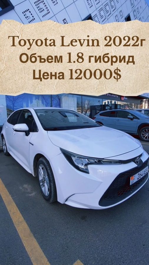 Toyota Levin