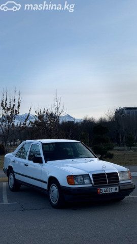 Mercedes-Benz W124