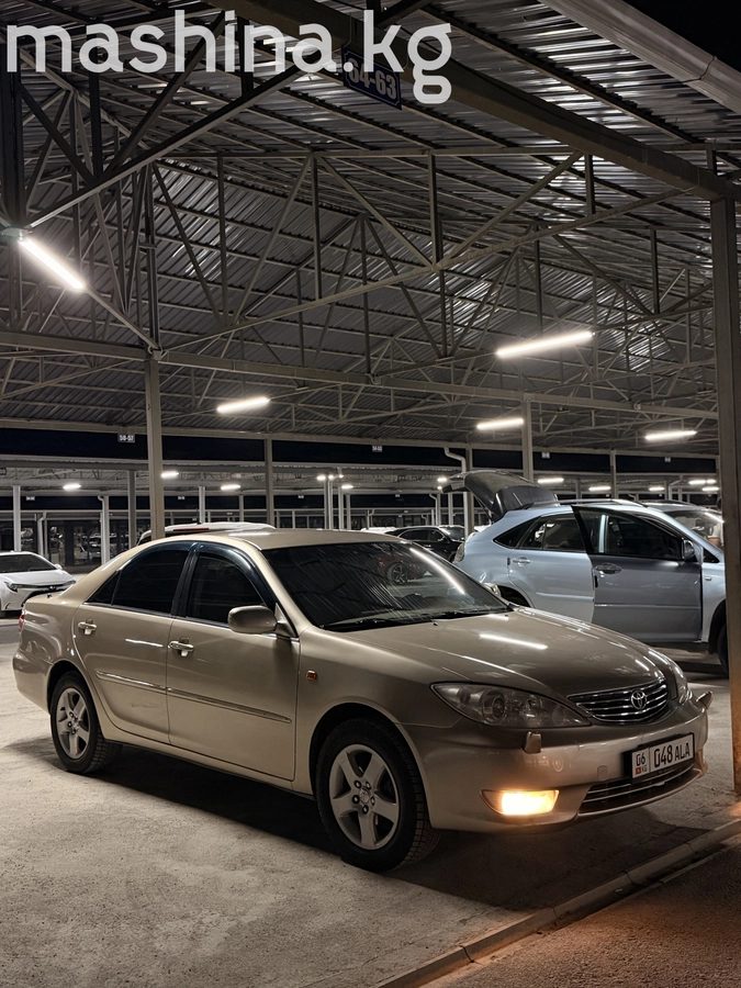 Toyota Camry V (XV30) 2004
