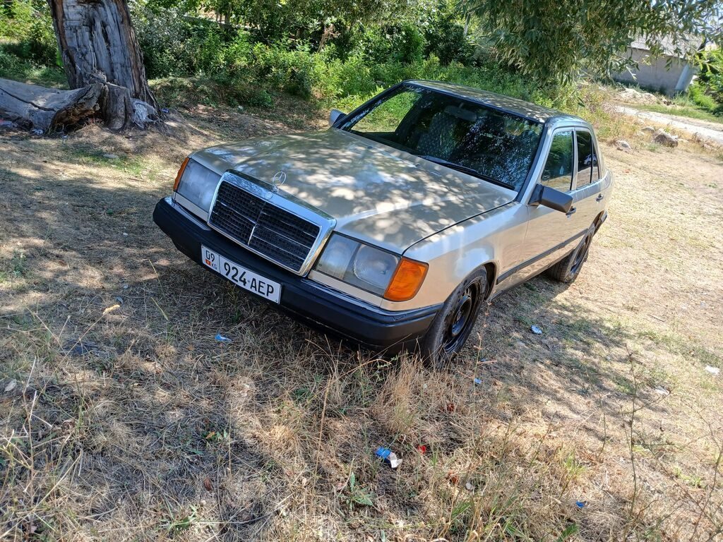 Mercedes-Benz W124